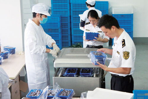 科技赋能农业 山东省博兴县以现代技术与计算机系统服务推动农业升级