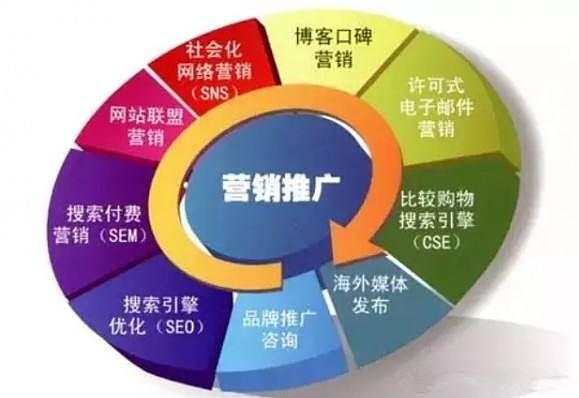 不懂SEO技术，如何有效开展网络推广与服务？一份新手实操指南