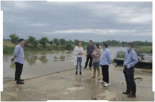 黄陂区科学应对暴雨来袭，多措并举筑牢防汛排涝安全防线