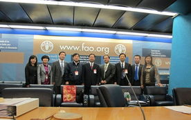 技术推广服务中心 驱动创新与产业升级的核心引擎